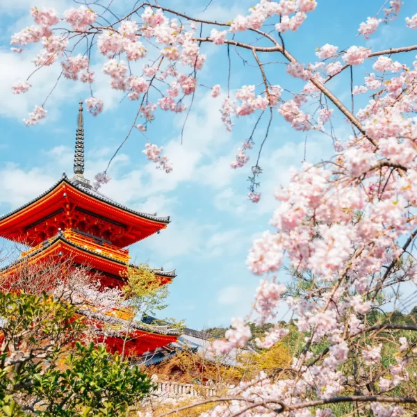 Kyoto - Japão - Viagens Relaxantes